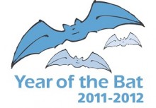 Year of the Bat 2011-2012 Logo